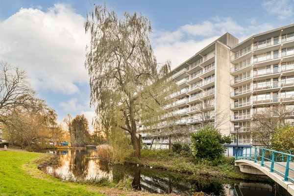 Condorhorst 134, Leiden